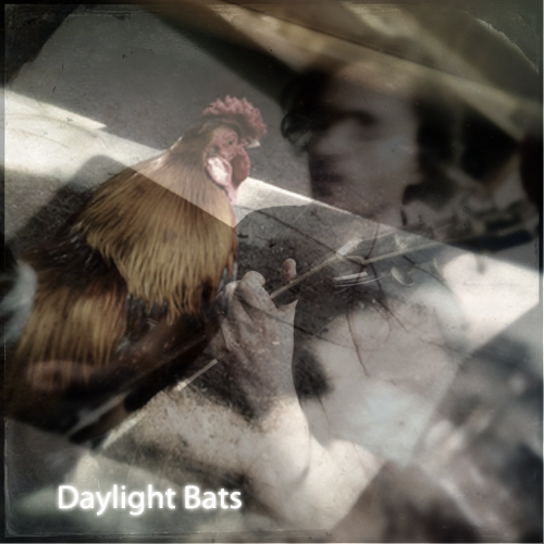 dbats show